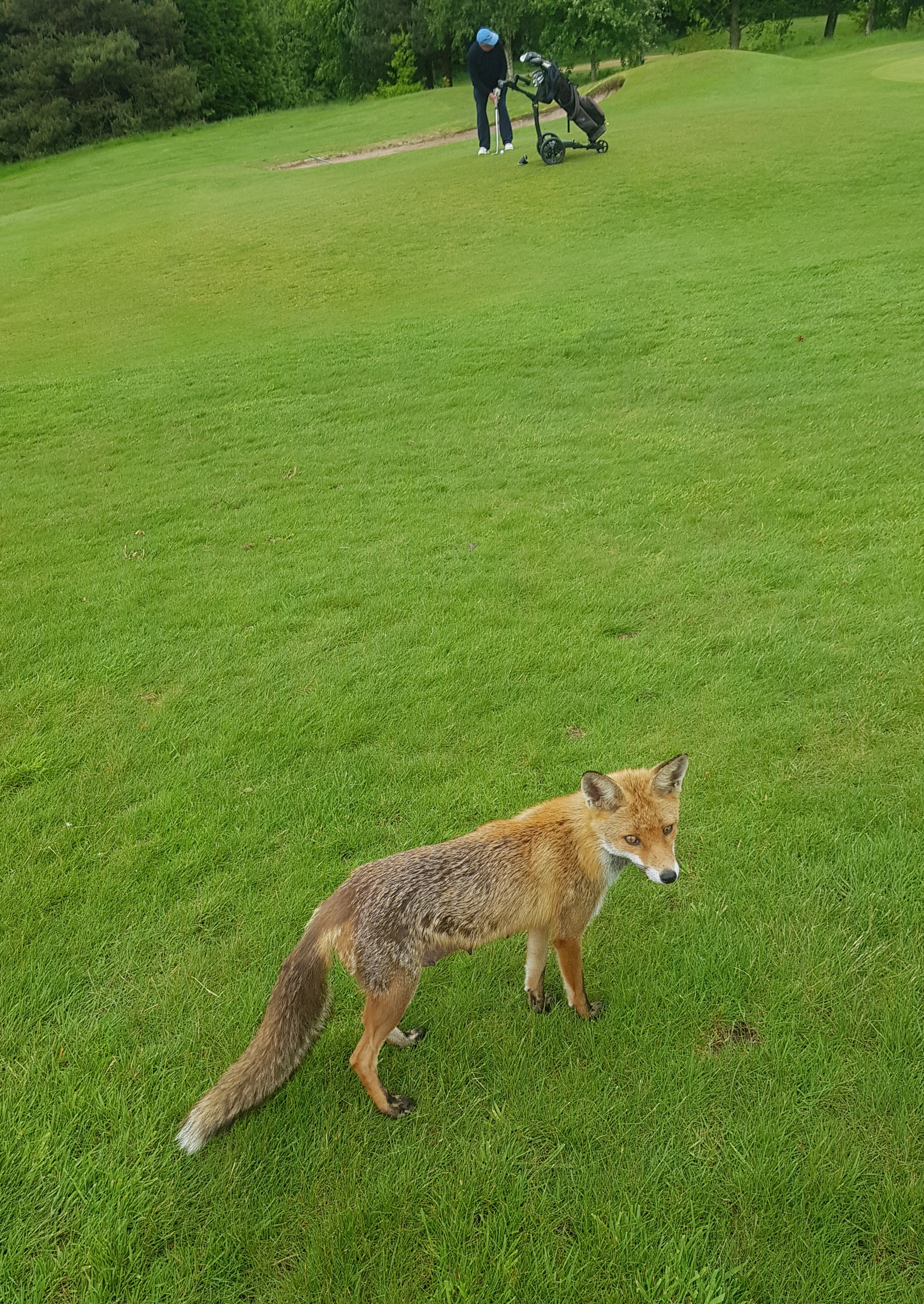 Vale Royal Golf Club Photo