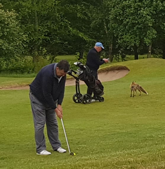 Vale Royal Golf Club Photo