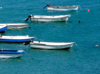 Les Pourciaux Cottage Rental Alderney Photo