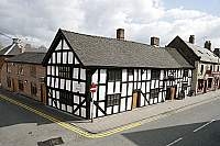 The Cheshire Cat Photo