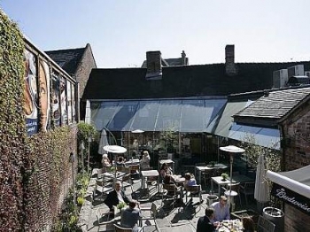 The Cheshire Cat Photo