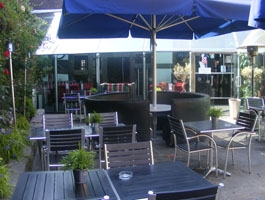 The Cheshire Cat Photo